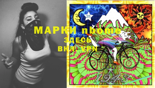 гашик Балахна