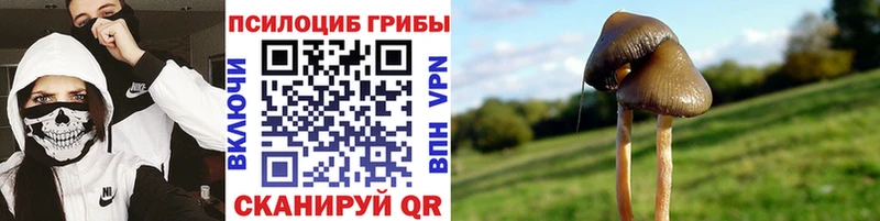 ОМГ ОМГ tor  купить  сайты  Валдай  Галлюциногенные грибы прущие грибы 